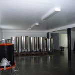 P1000572